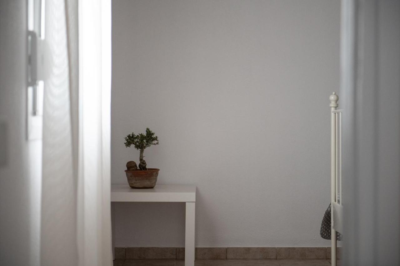 Agrikia Tis Vasilikis Apartment Ormilia Luaran gambar