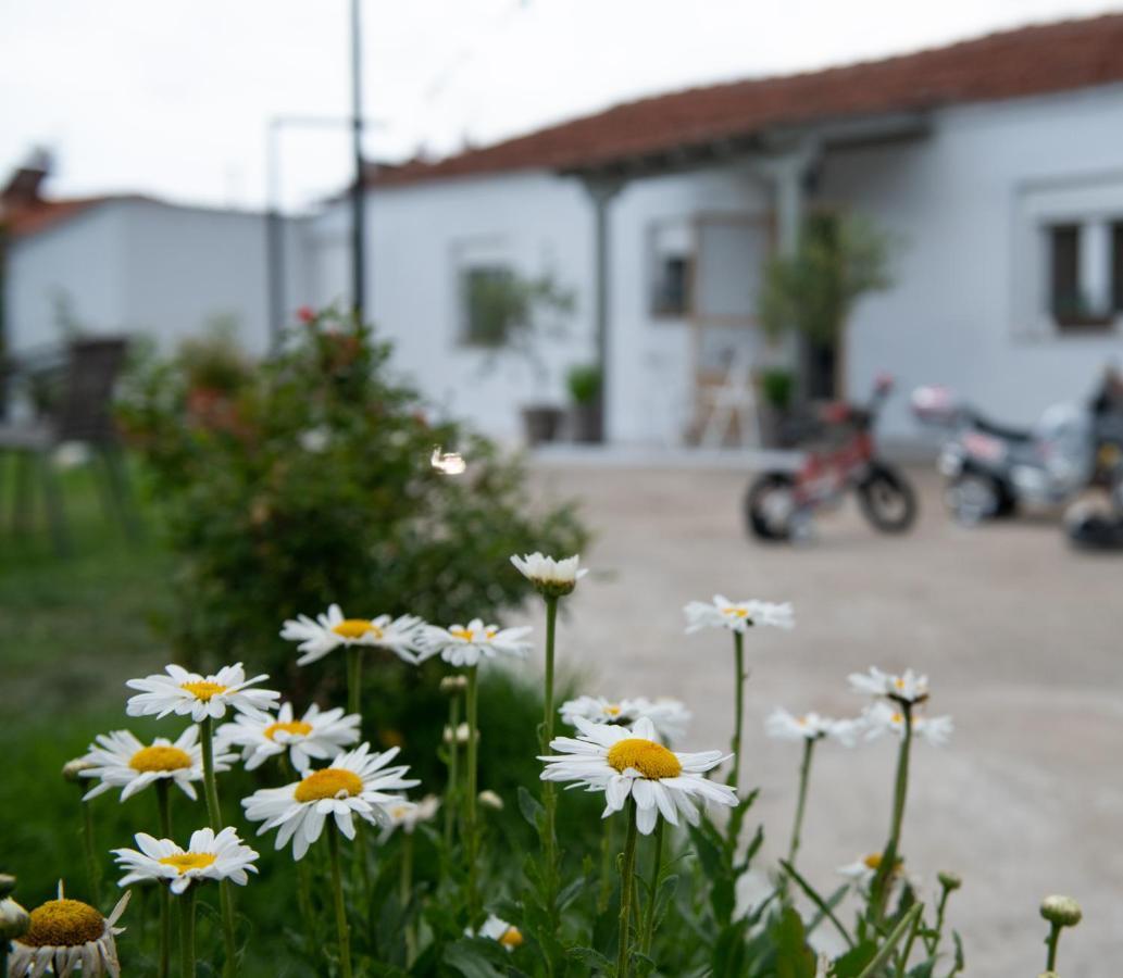 Agrikia Tis Vasilikis Apartment Ormilia Luaran gambar