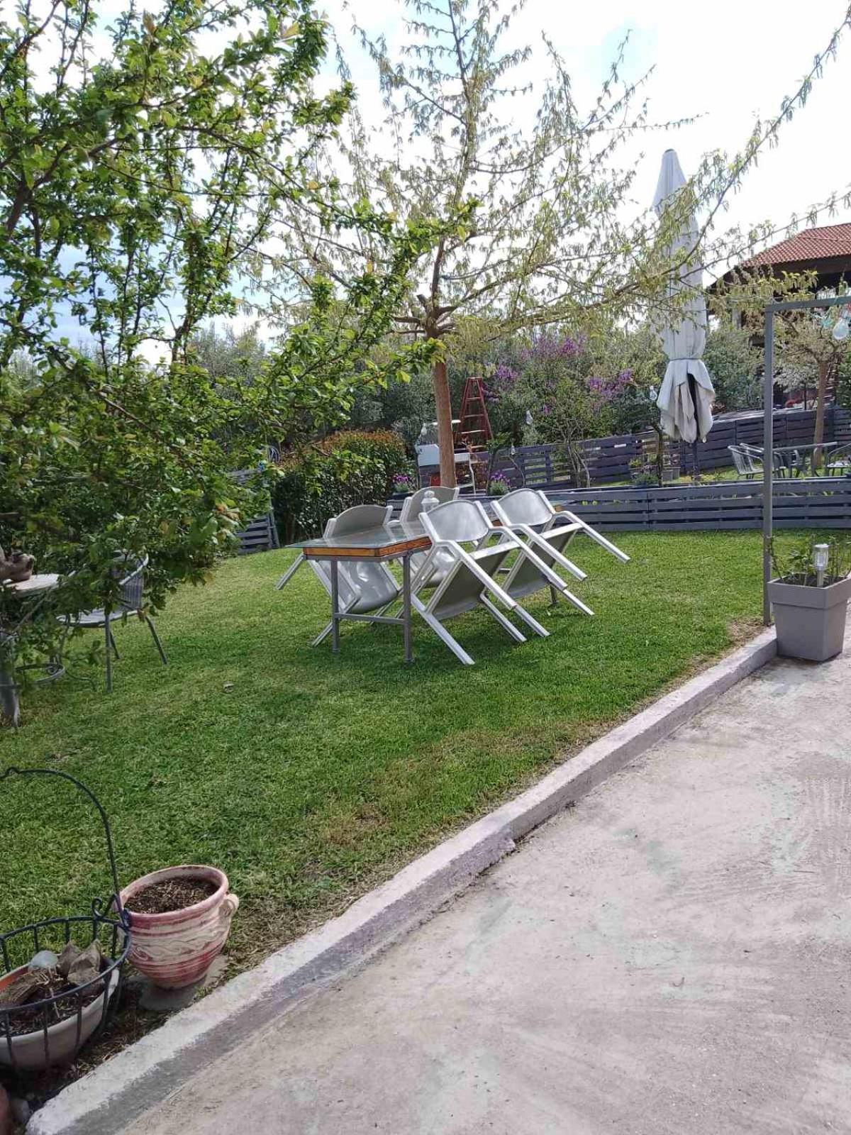 Agrikia Tis Vasilikis Apartment Ormilia Luaran gambar
